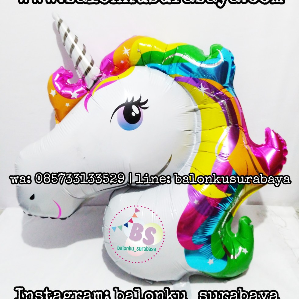 baloon unicorn, balon karakter, balon little pony, balon tepuk, balon sablon, dekorasi balon, 085733133529